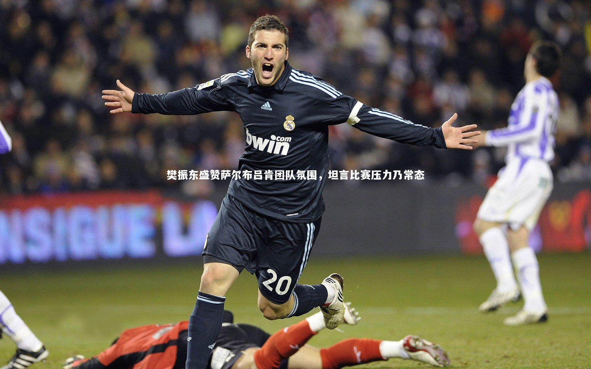 jinnianhui：樊振东盛赞萨尔布吕肯团队氛围，坦言比赛压力乃常态